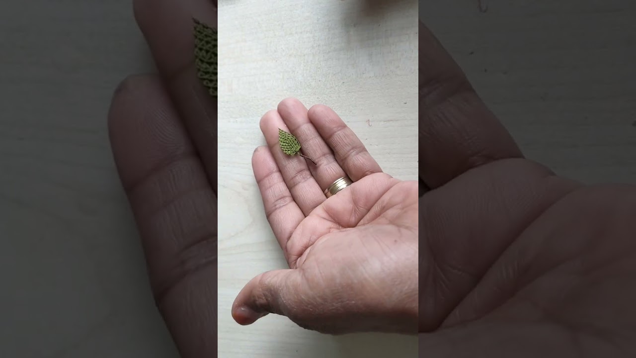 İlkbahar yaka  çiçeği 