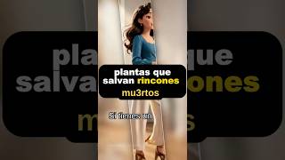 7 plantas que dan vida a los rincones muertos ?✨ #plantas #shortvideo