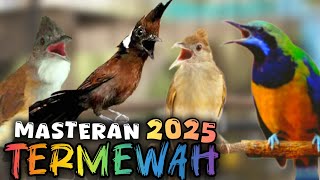 🔴 MASTERAN TERMEWAH 2025 full tembakan dengan durasi panjang suara jernih