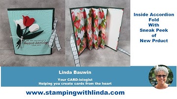 Inside Accordion Fold With Sneak Peek New Product