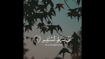 من افضل التلاوات على الاطلاق - القارئ عبدالعزيز الزهراني