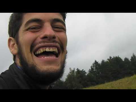 Video: Si Të Jetojmë Në Pyll