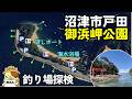 沼津市戸田【御浜岬公園】釣り場探検|無料駐車場、トイレ完備。ボート釣りや遠投釣りが楽しめる、御浜海水浴場隣接の釣り場