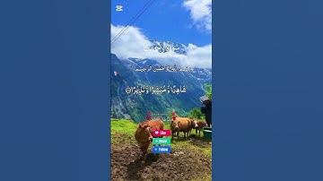 آيات القرآن الكريم من سورة الأحزاب.