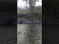 short# video #