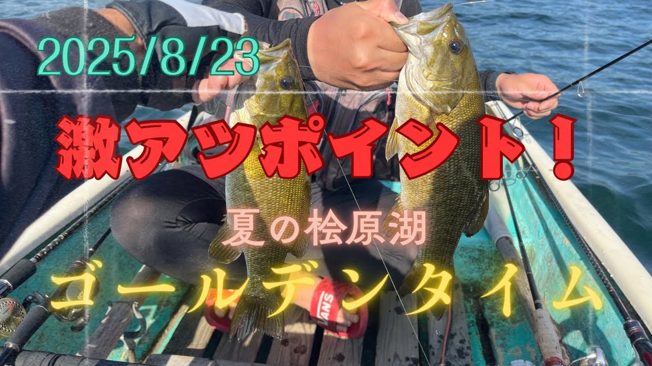 【桧原湖バス釣り】黒系ワームしか食わない一日！！！ポイント探しが鍵✨