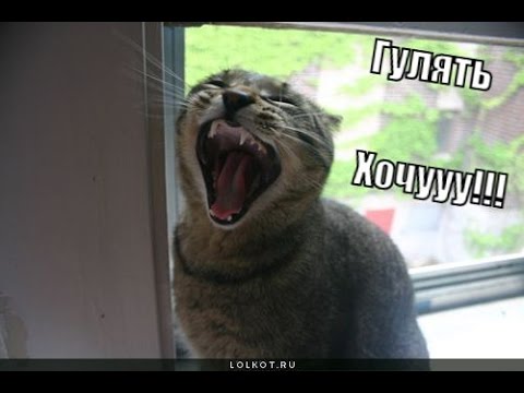 Работаю ору. Рота подъем. Рота подъем Мем. Подъем приколы. Подъем Ноты
