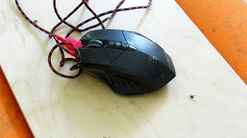 Ремонт мыши для учебы