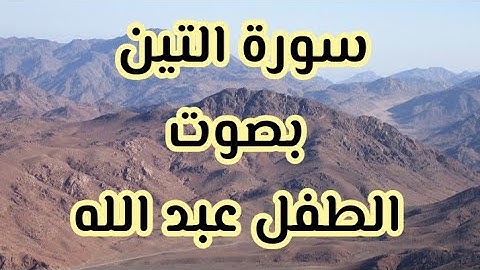 سورة التين بصوت الطفل عبد الله 🌱