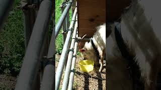 北河内駅の風景。　 #iwakuni #観光 #旅行