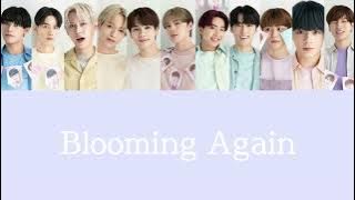 JO1 / Blooming Again 【パート割 歌詞】