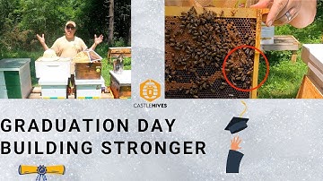 Hive Inspections - Adding a Second Deep