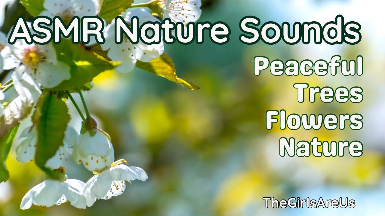 Reset Your Mood: Peaceful Nature Trees and Flowers 