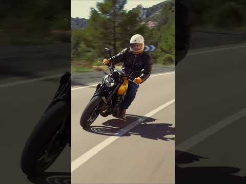 New Trident 660 #motorcycle