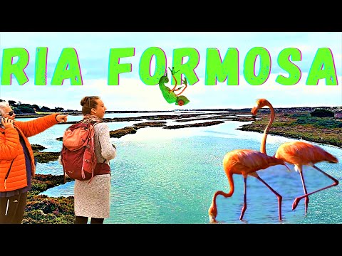 Video: 9 Objek Wisata Terbaik Dekat Ria Formosa, Portugal