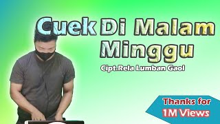 CUEK DIMALAM MINGGU DJ BATAK -  remix by Wanrifal Sinurat