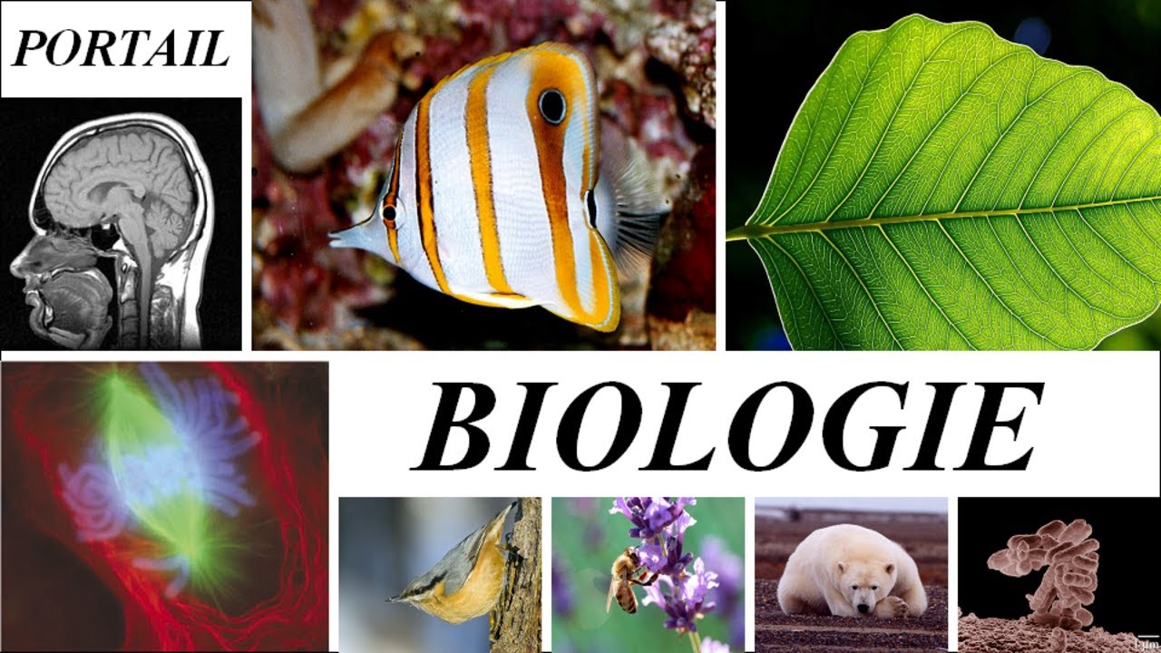 Page De Garde Biologie Ecologie Explication des cours de Biologie tous les Modules : شرح جميع دروس