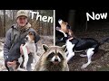 A HOUND DOGS First RACCOON! - AWESOME Start to Finish Coon Hunt