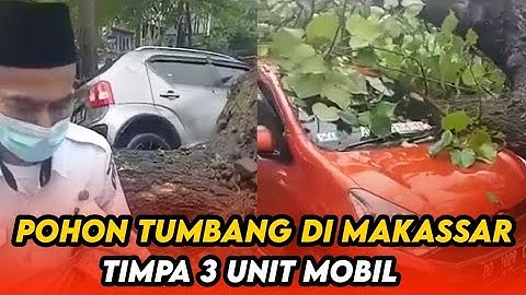 Pohon Tumbang di Makassar Timpa 3 Mobil