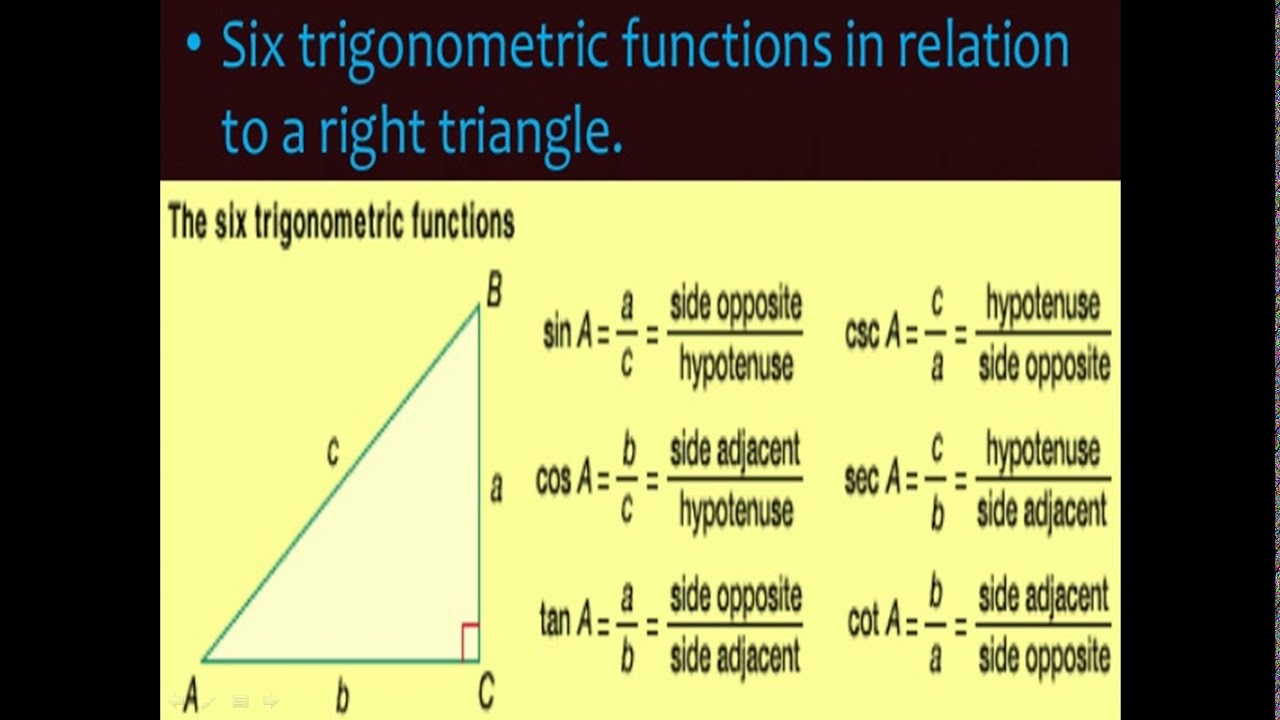 case study of introduction to trigonometry class 10