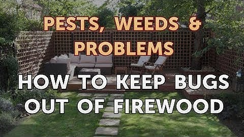 How to Keep Bugs Out of Firewood