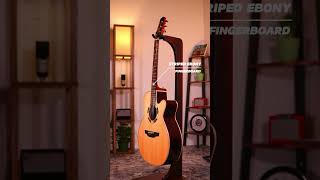 Takamine Dsf48c Nex  Msp Musique