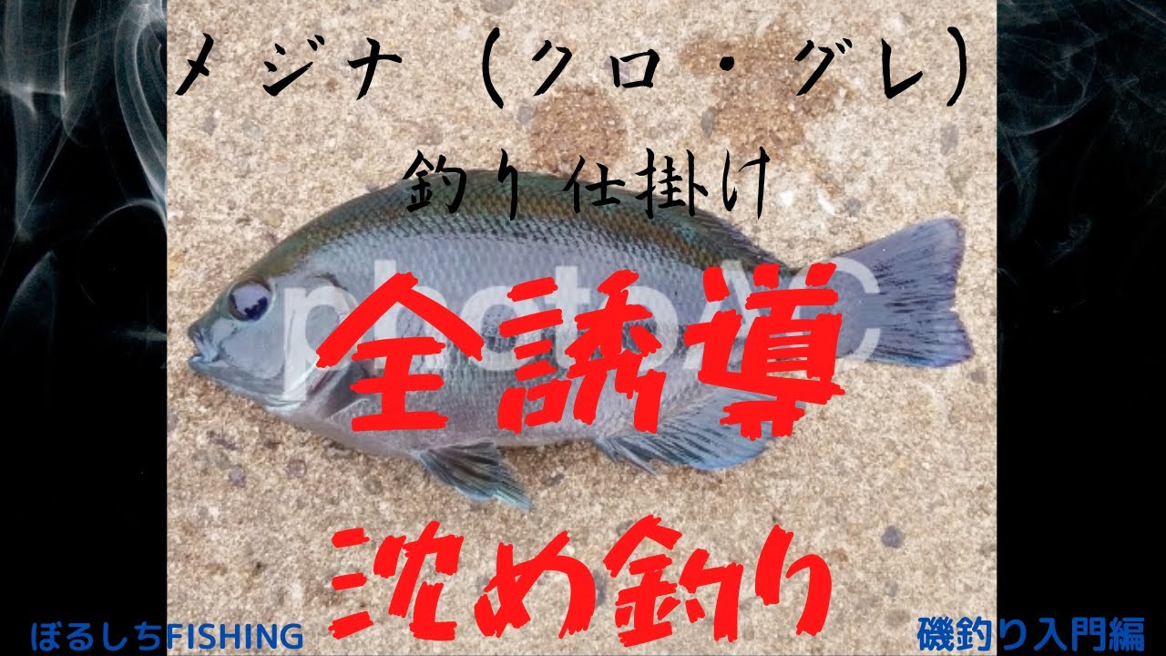 磯釣り入門 メジナ クロ グレ 釣り仕掛け 全誘導沈め釣り フカセ釣り Youtube