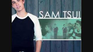 Watch Sam Tsui Lady Gaga Medley video