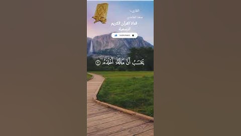 #ماتيسر_من سورة الهمزة بصوت القارئ الشيخ سعد الغامدي قناة القرآن الكريم الرسمية