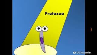 Introduction to Protozoa الأوليات