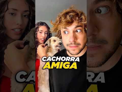 eu entendi certo? @beatrizgomesdaily #livedobrino #humor #MundinhoBrino