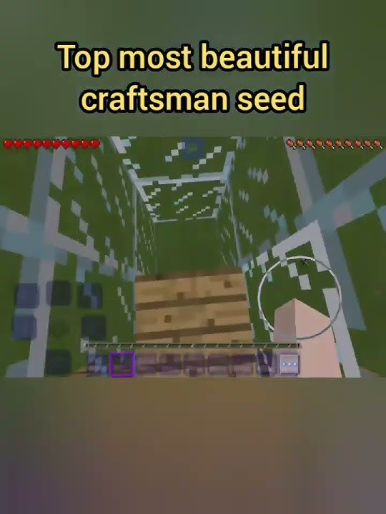 Top most beautiful craftsman seed.