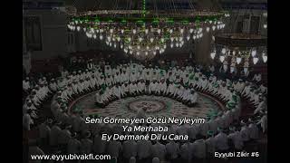 Eyyubi Vakfı Zikir #6 #zikir #dhikr #allah #islamicvideo #lailahaillallah #dhikrallah #islamicstatus