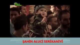 Ferhat Merde Kobanê Bernadım 2014