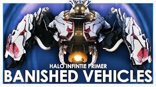 The Lore Behind ALL The Banished Vehicles (Halo Infinite Primer) ft. Covenant Canon