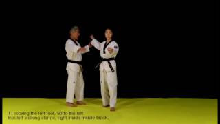 Taeguk 3 Jang (Tcheguk-sam-džang)