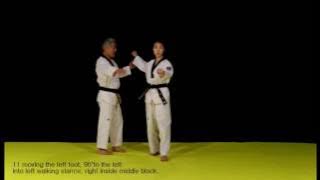 Download lagu Taeguk 3 Jang (Tcheguk-sam-džang)