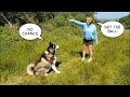 Dog gets Mad in Dog and Daughters hilarious Love Hate Relationship