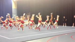 Dynamites Dolls DM 2013