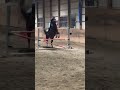 This jump lwk ate #horse #ponymalta #horseriding #equestrianjourney #horseenthusiast #horsefan