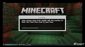 I Play Minecraft in Survival mode