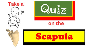Quiz on the scapula