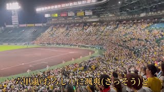 阪神が日本一なった後に甲子園で流れた「六甲おろし」(歌詞付き)　2023/11/05