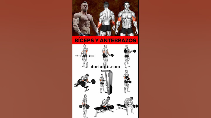 🔝MEJORES EJERCICIOS para BÍCEPS y ANTEBRAZO en el GIMNASIO