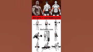 🔝MEJORES EJERCICIOS para BÍCEPS y ANTEBRAZO en el GIMNASIO