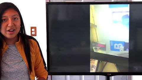 Behind-the-scenes BLUE1647 Intern Project - AIY Vision Kit