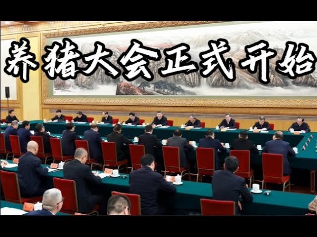 习近平接见民企代表,排座次大有学问,马云沦为陪衬|川普甩飞乌克兰,王毅出柜|曹兴诚小三激吻半裸照曝光,曹甩锅AI不拿幸