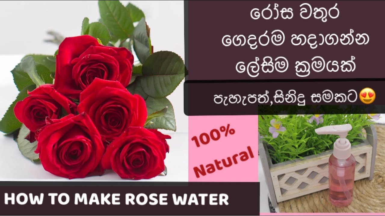 ගෙදරදිම රෝස වතුර හදමු පැහැපත් සුමුදු සමකට How to make ROSE Water
