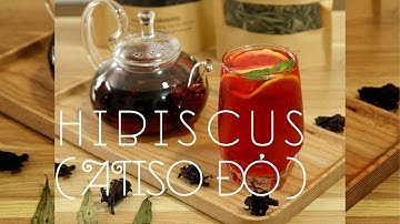 Hướng Dẫn Pha Trà Giảm Cân Từ Hoa Hibiscus (Atiso Đỏ)🌺