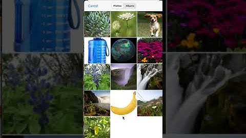 Implementing PlantNet dataset on Native IOS using CoreML and MobilenetV2